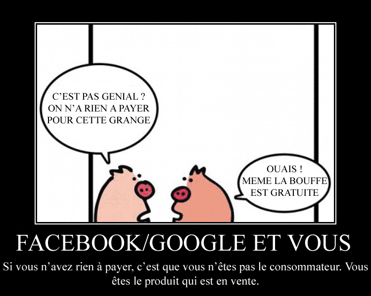 facebook-google-pigs-barn